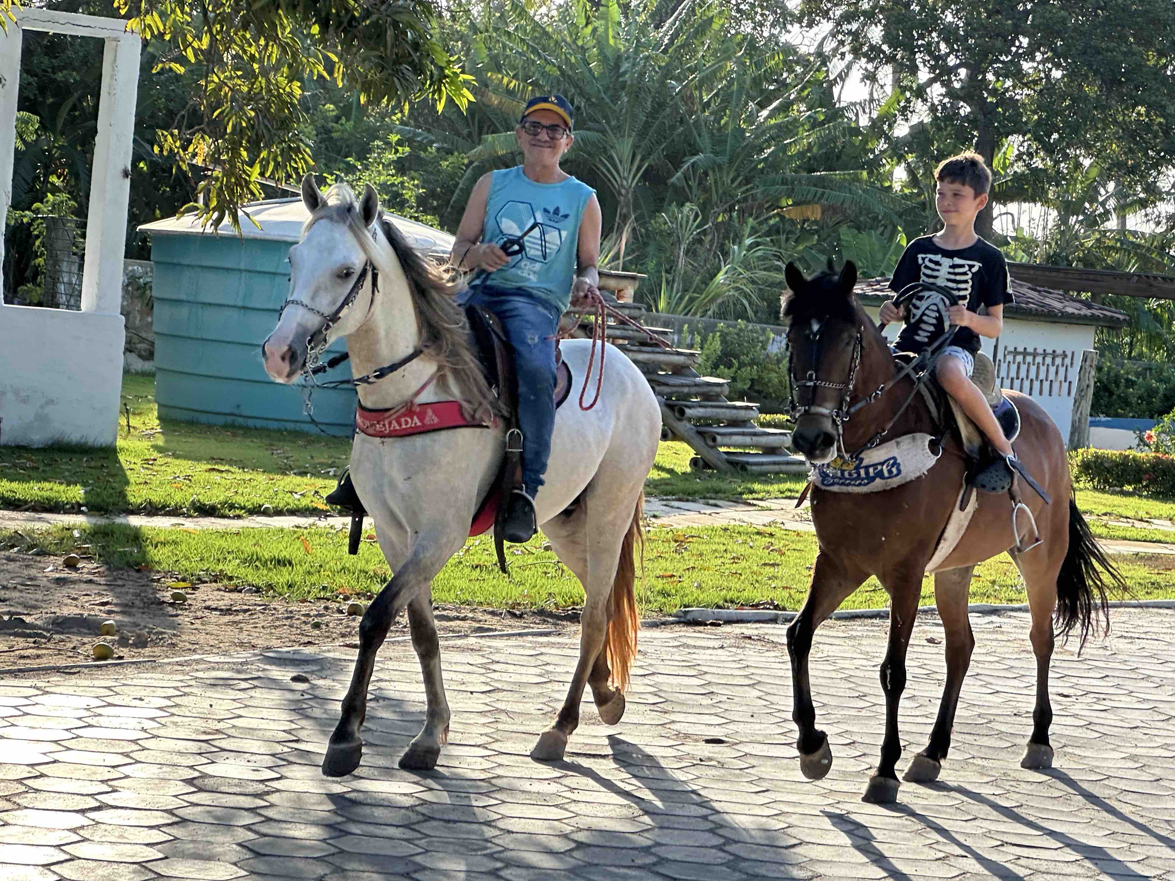 Reiten
