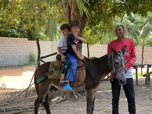 Reiten Maulesel zu zweit